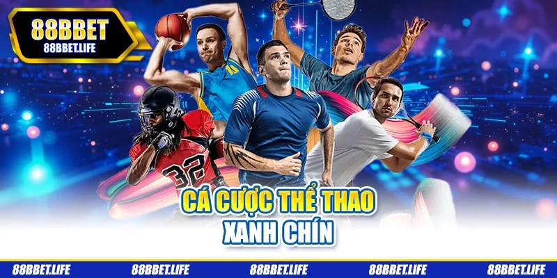 Cá cược thể thao xanh chín